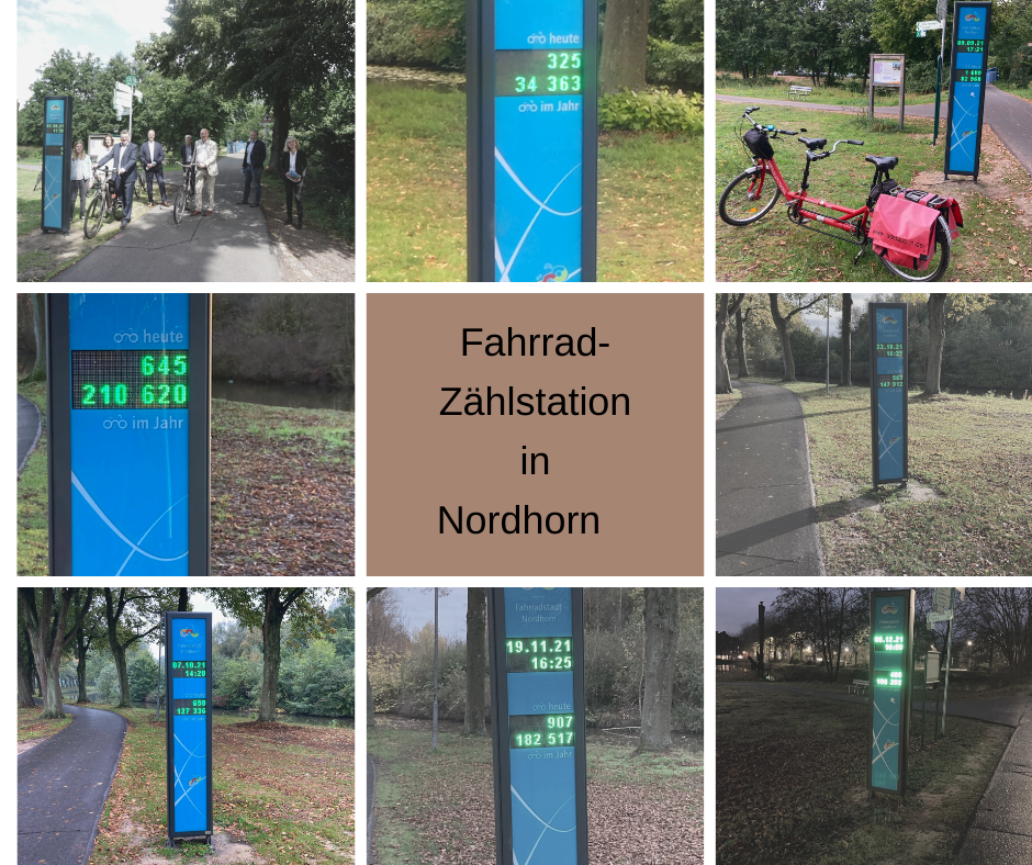 Fahrradzählstation am Vechtesee in Nordhorn 